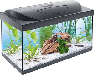 Tetra Starter Line 54 L Aquarium Komplett-Set