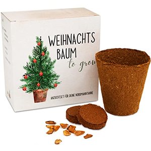 Tannenbaum Geschenk Set - Tannenbaum in der Dose