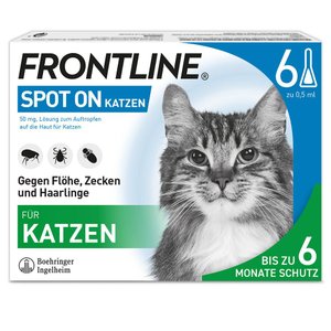 Frontline Spot On Katze gegen Zecken und Flöhe