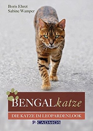 Bengalkatze: Die Katze im Leopardenlook