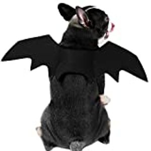 RYPET Fledermauskostüm für Hunde, S