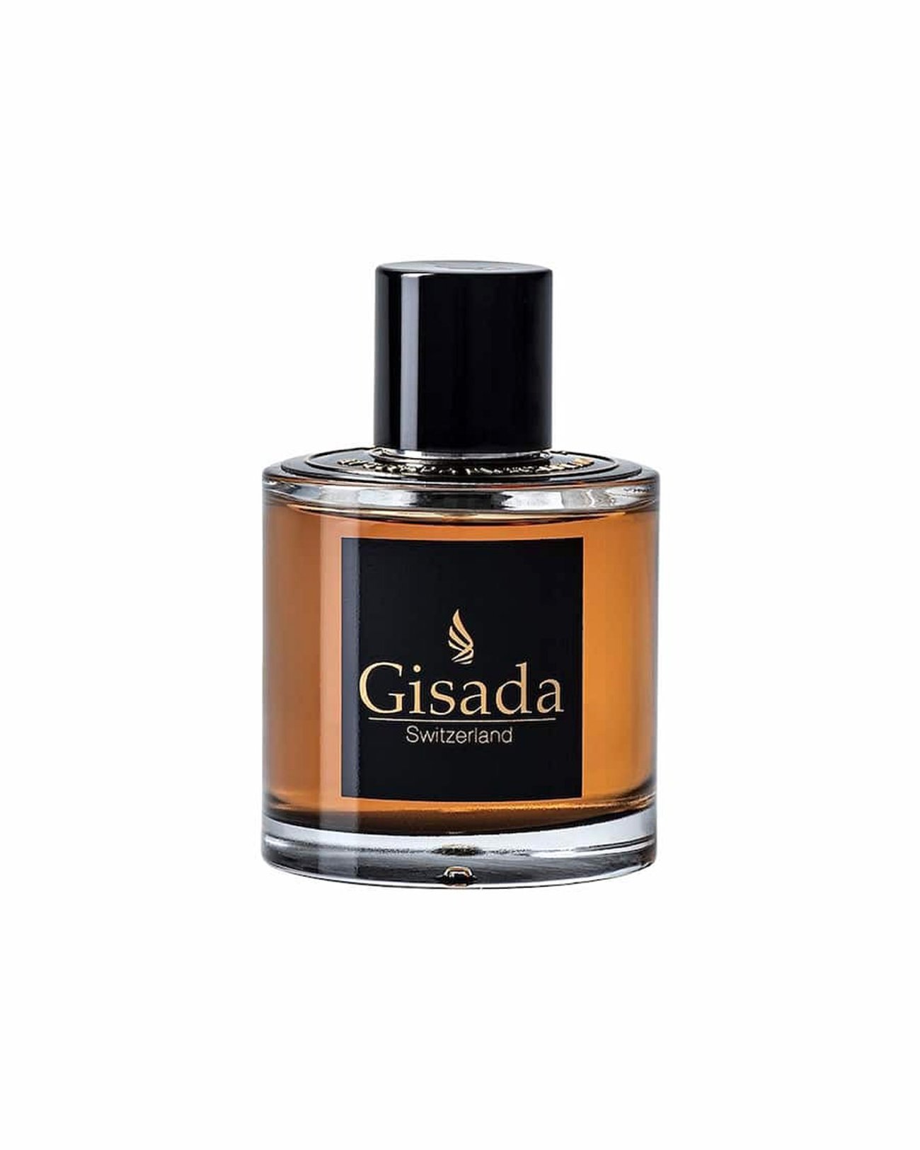 Gisada – Ambassador