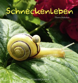 Schneckenleben - Im Schneckentempo durch das Jahr 