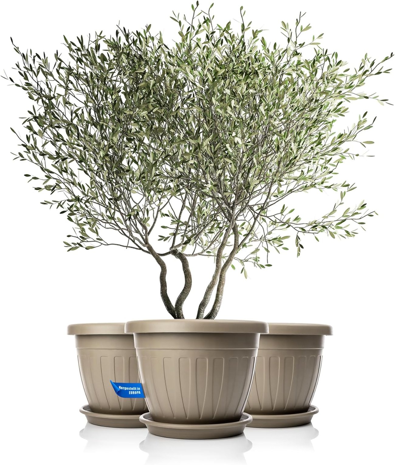 3 Blumentöpfe mit Untersetzer, Mokka
