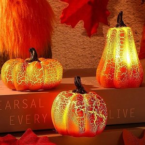 Herbstdeko Figuren mit LED