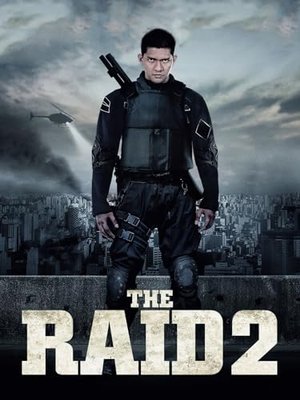 The Raid 2