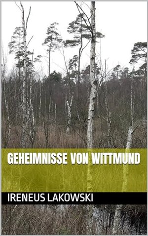 Geheimnisse von Wittmund (Nordsee Mystery 4)