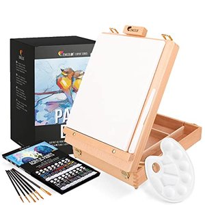 Acrylfarbe Set für Künstler