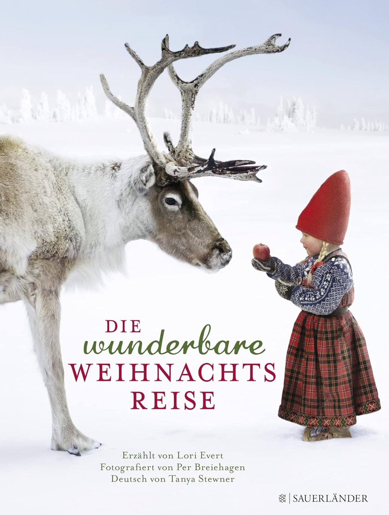 Die wunderbare Weihnachtsreise