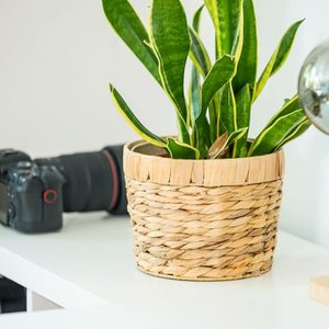 HMF Innovativer Blumentopf