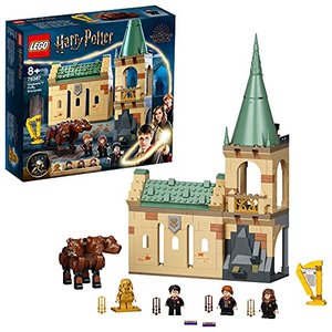 LEGO Harry Potter 76387 Hogwarts: Begegnung mit Fluffy, Harry Potter