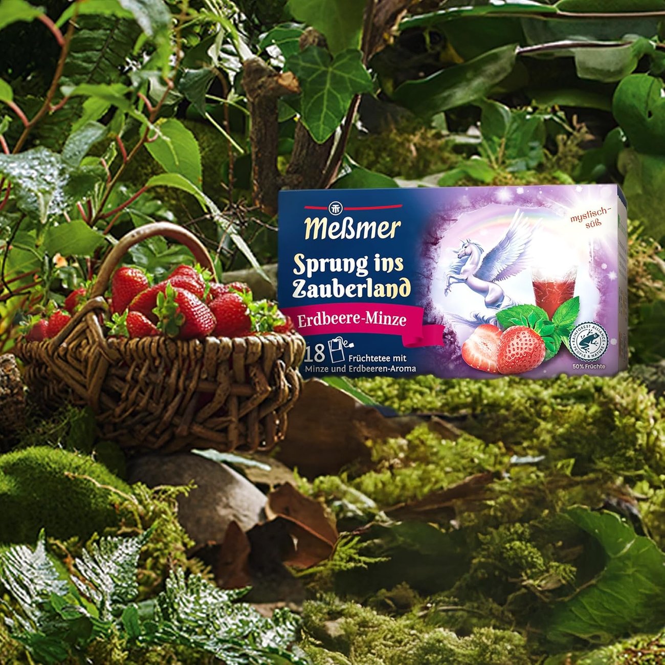 Meßmer-Tee „Sprung ins Zauberland"