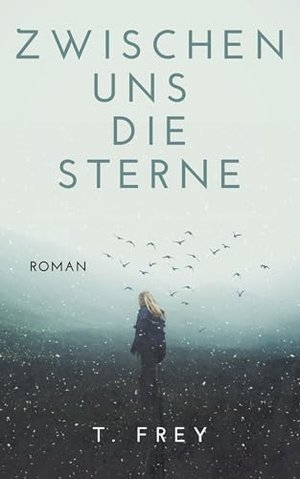 Zwischen uns die Sterne: New Adult Roman