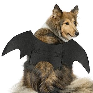 Hundekostüm „Fledermaus“