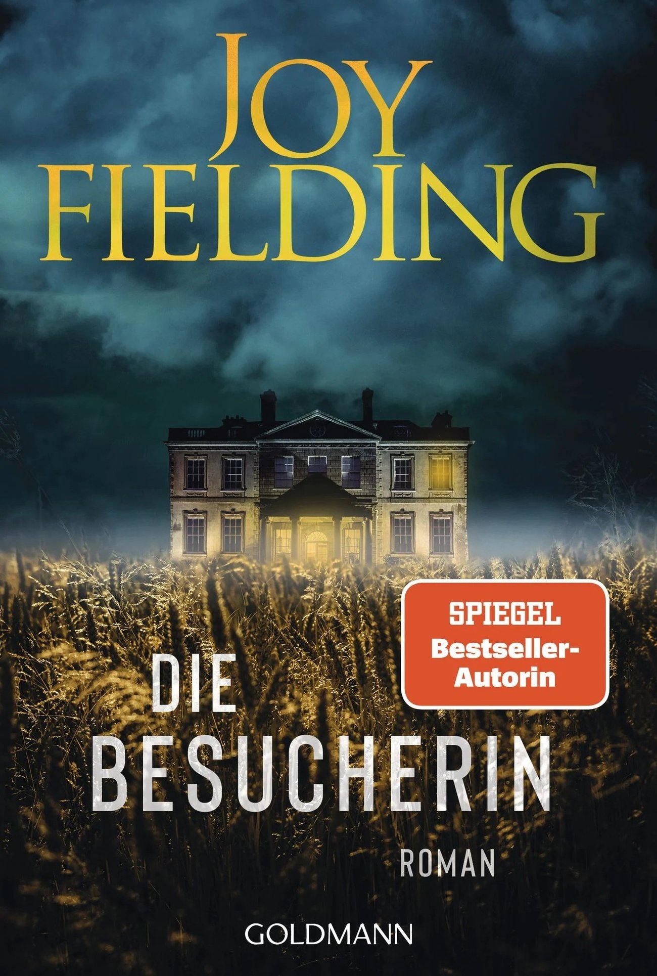 Joy Fielding: Die Besucherin