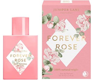 Juniper Lane - Forever Rose