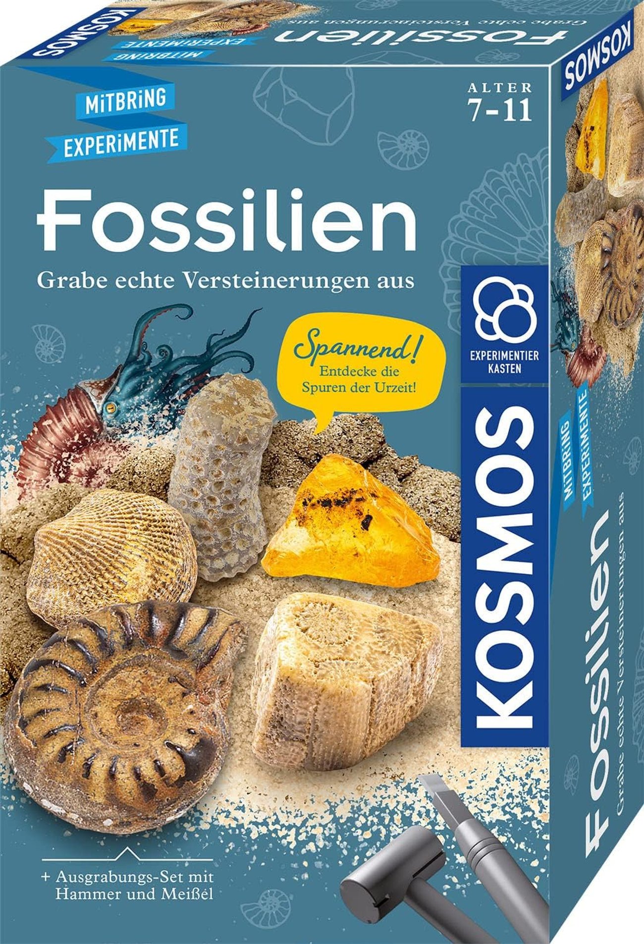 KOSMOS Fossilien Ausgrabungs-Set