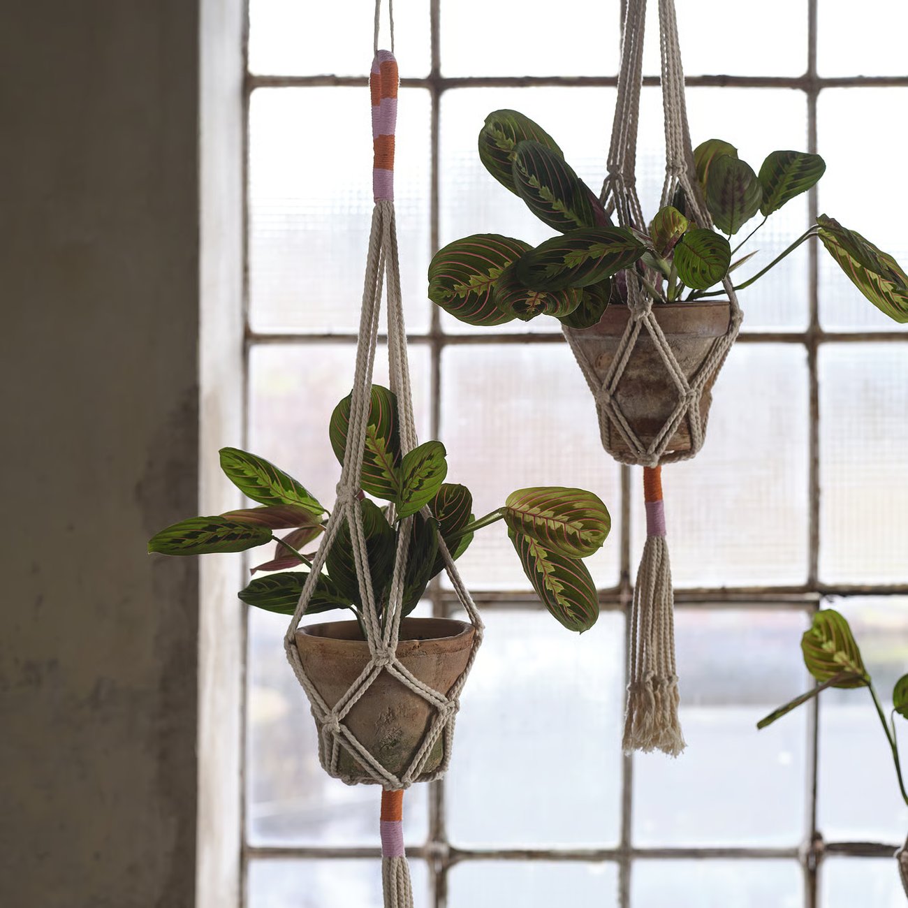 MÄVINN Aufhänger für Blumentopf