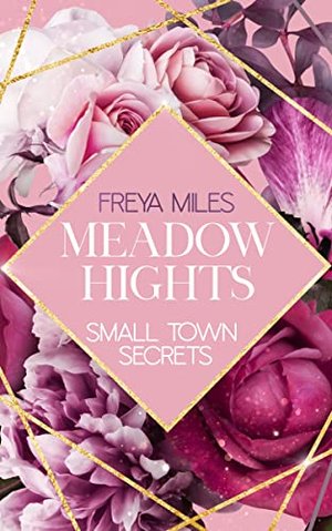 Meadow Hights: Small Town Secrets (Slow Burn Romance - New York Gentlemen 5)