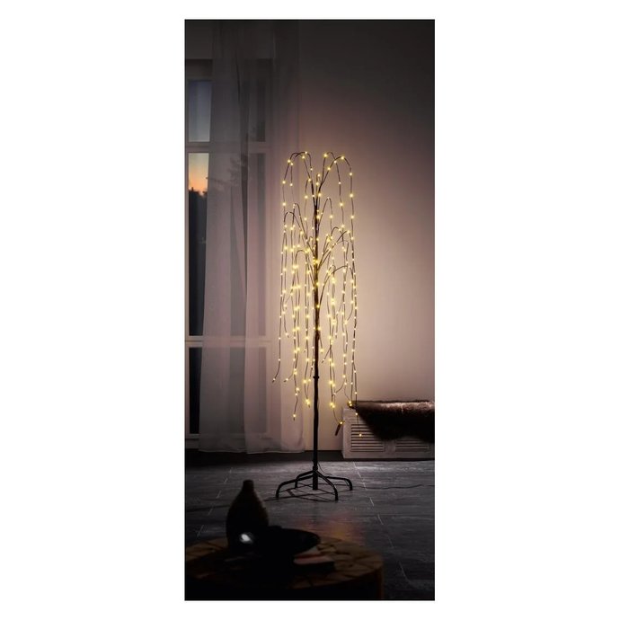 eukalyptus zimmerpflanze hängend Hängender Eukalyptus main image 1