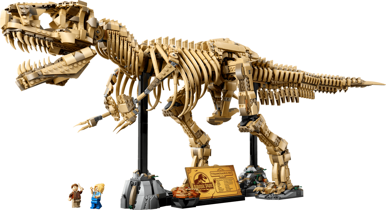 Dinosaurier-Fossilien: Tyrannosaurus Rex