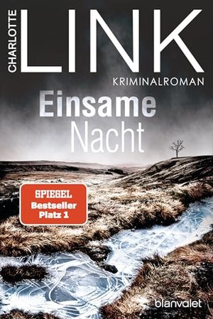 Einsame Nacht: Kriminalroman