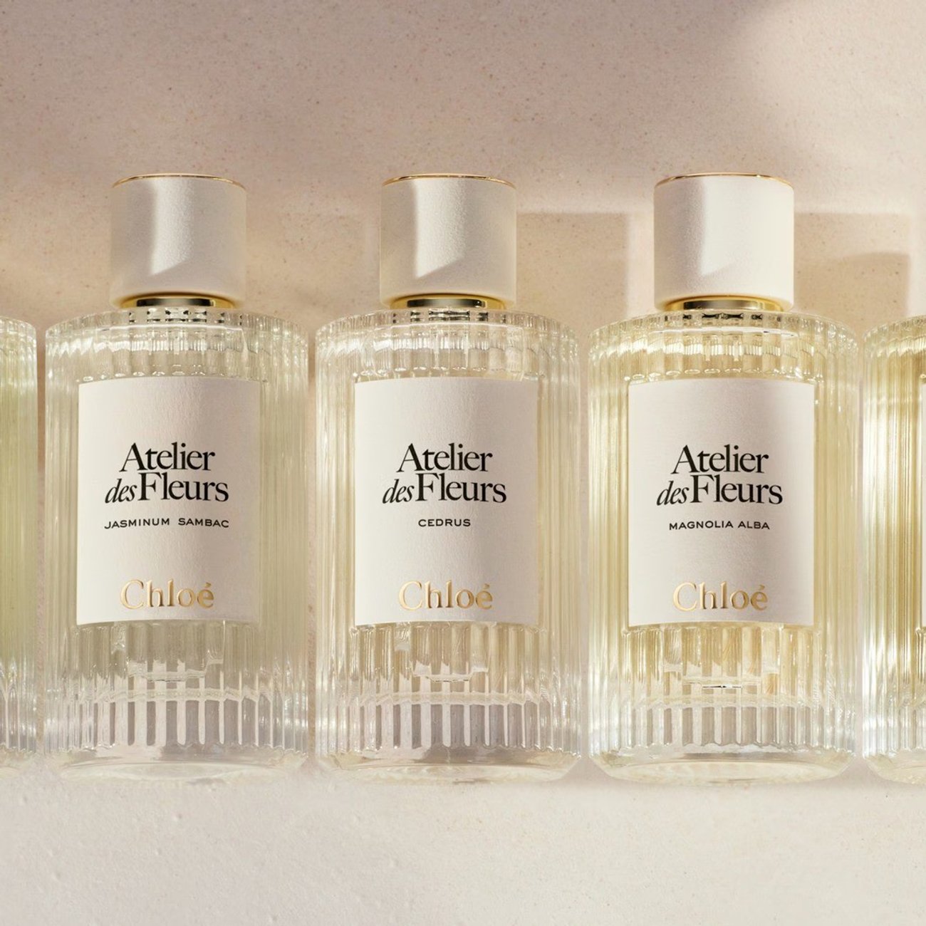 „Atelier des Fleurs Immortelle“ von Chloé