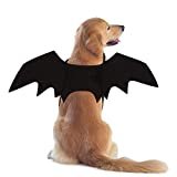 RYPET Fledermauskostüm für Hunde, M