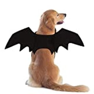 RYPET Fledermauskostüm für Hunde, M