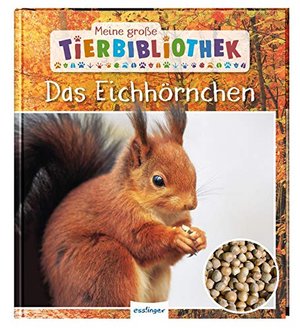 Meine große Tierbibliothek: Das Eichhörnchen: Sachbuch für Vorschule & Grundschule