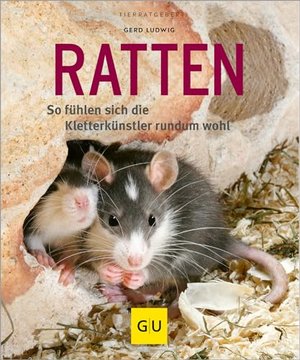 Ratten als Heimtiere