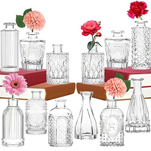 Set 12er Mini Vase Glas