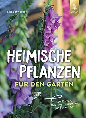 Heimische Pflanzen für den Garten