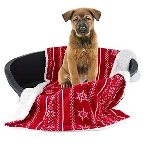 Weihnachtliche Decke für deinen Hund