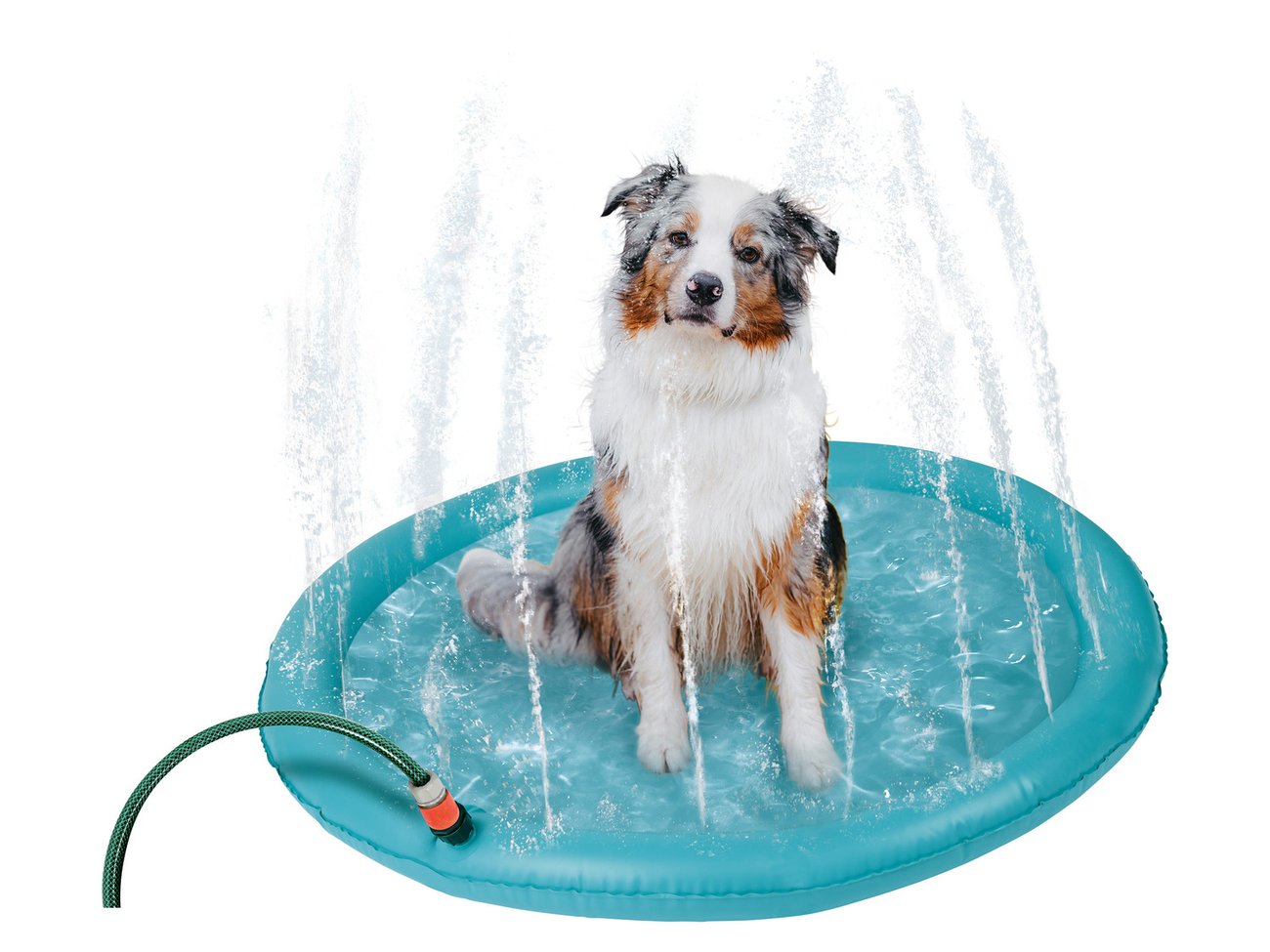 zoofari Hunde-Wasserspielmatte, faltbar