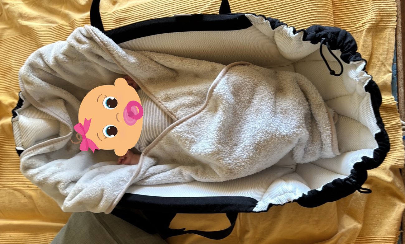 Najell Babynest SleepCarrier X