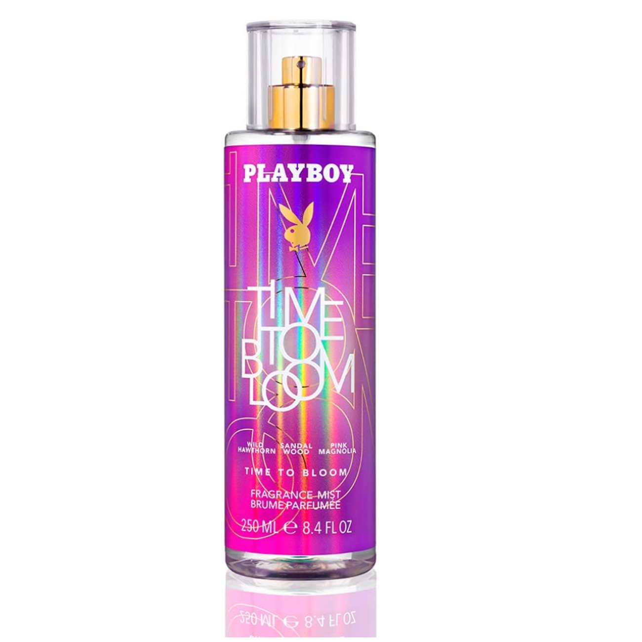 Rossmann | Time to Bloom