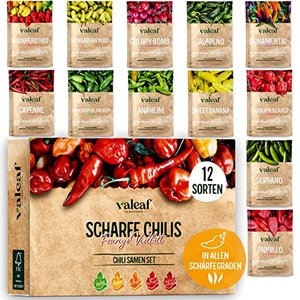 Chili Samen Set I 12 scharfe bis milde Chili Samen Sorten in höchster Qualität I von Carolina Reaper