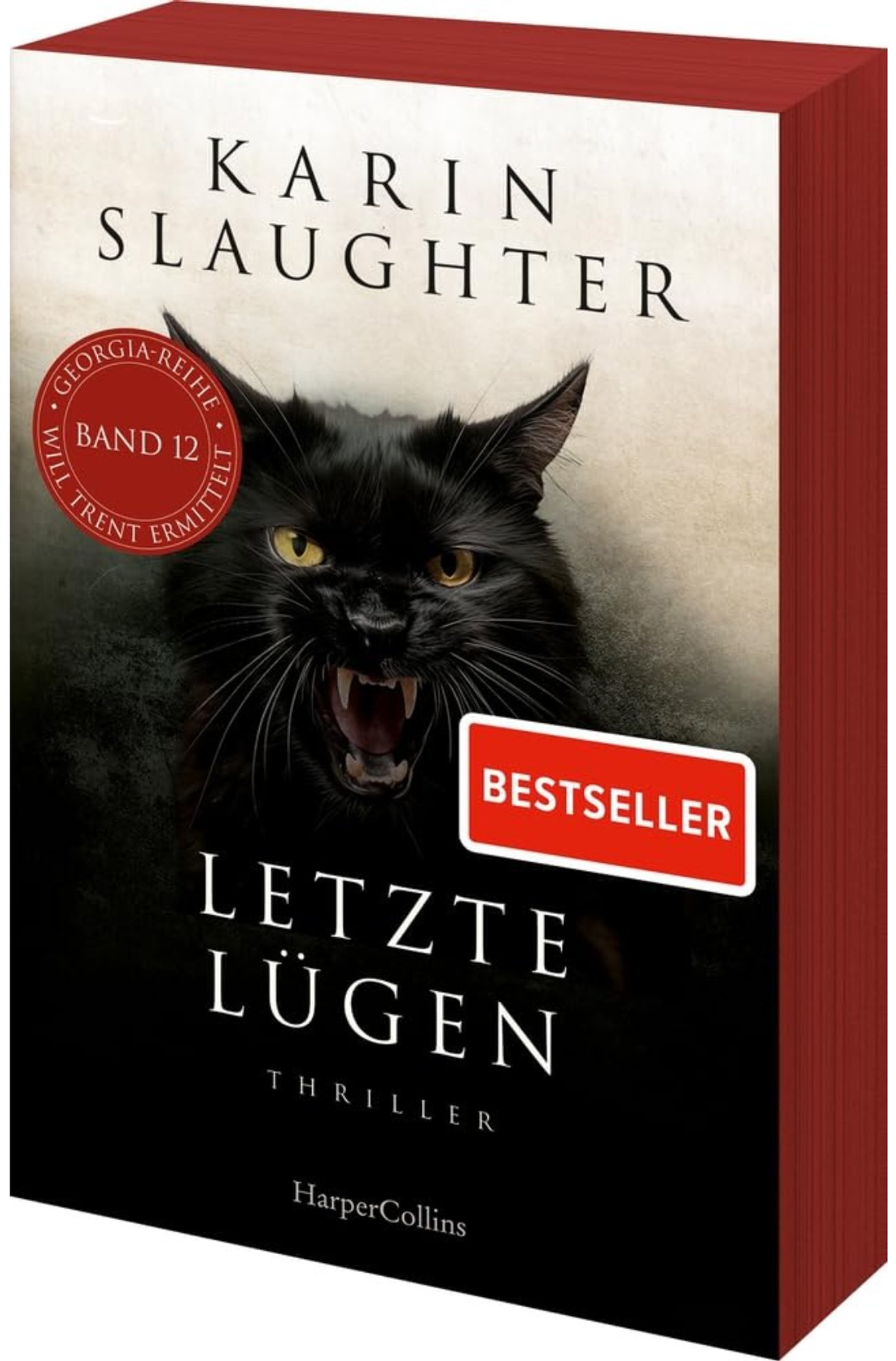 Letzte Lügen: Thriller
