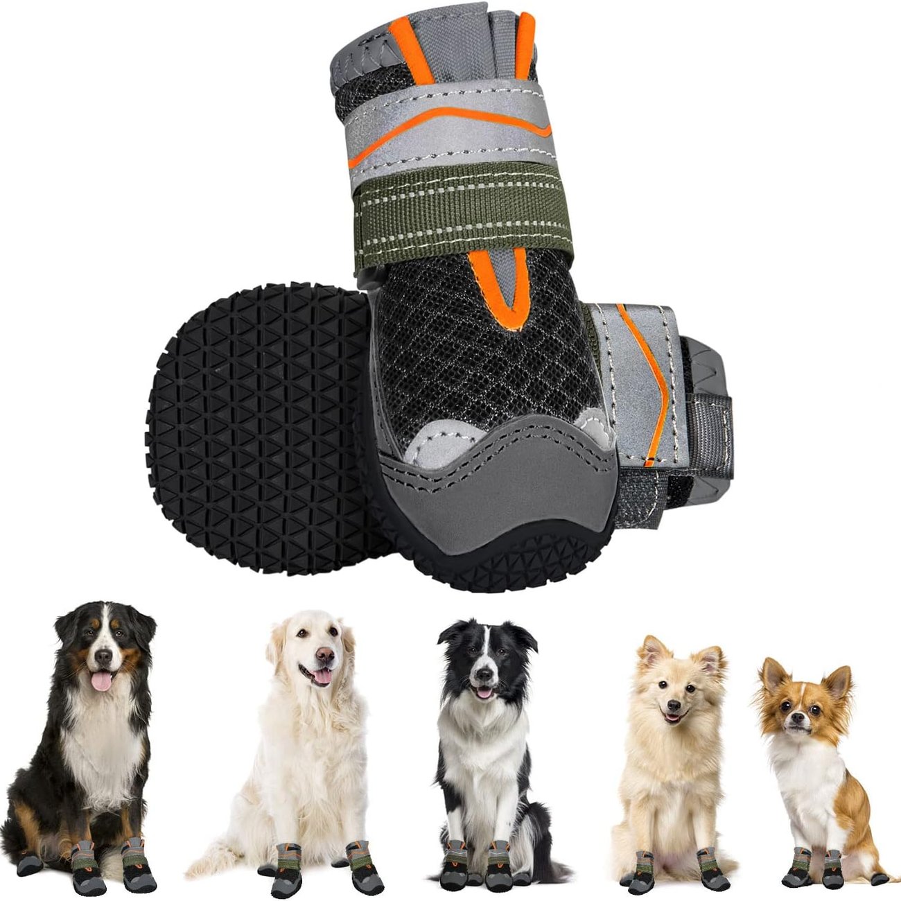 Hundeschuhe Pfotenschutz