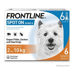 Frontline Spot On gegen Zecken bei Hunden 6 Stk. (2-10kg)
