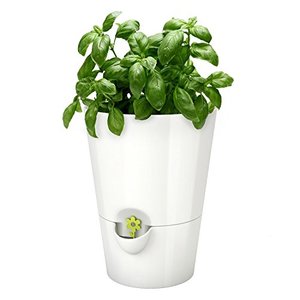 Emsa Kräutertopf