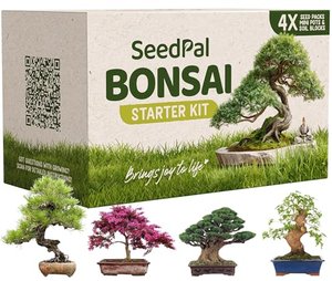 Easy Bonsai Starter Kit