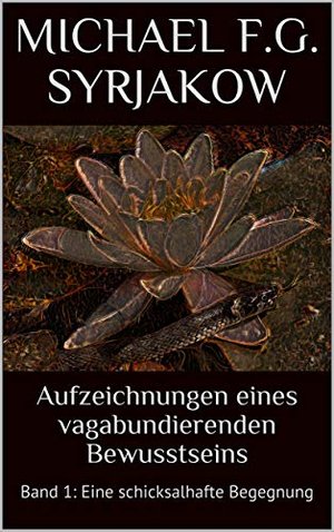 Aufzeichnungen eines vagabundierenden Bewusstseins: Band 1: Eine schicksalhafte Begegnung