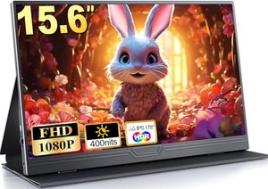 MOMODS Portable Monitor, 15,6 Zoll