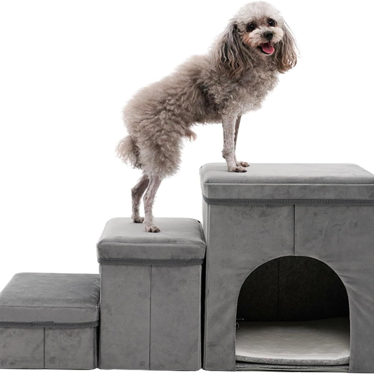 Hundetreppe für kleine Hunde