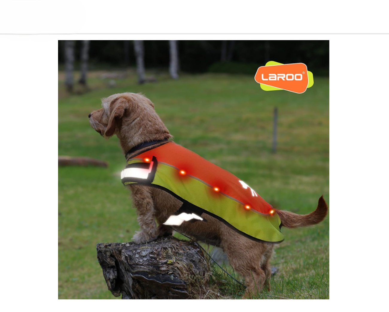 LaRoo Reflektierender Regenmantel für Hunde