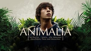 Animalia