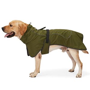 HEYWEAN Hundejacke