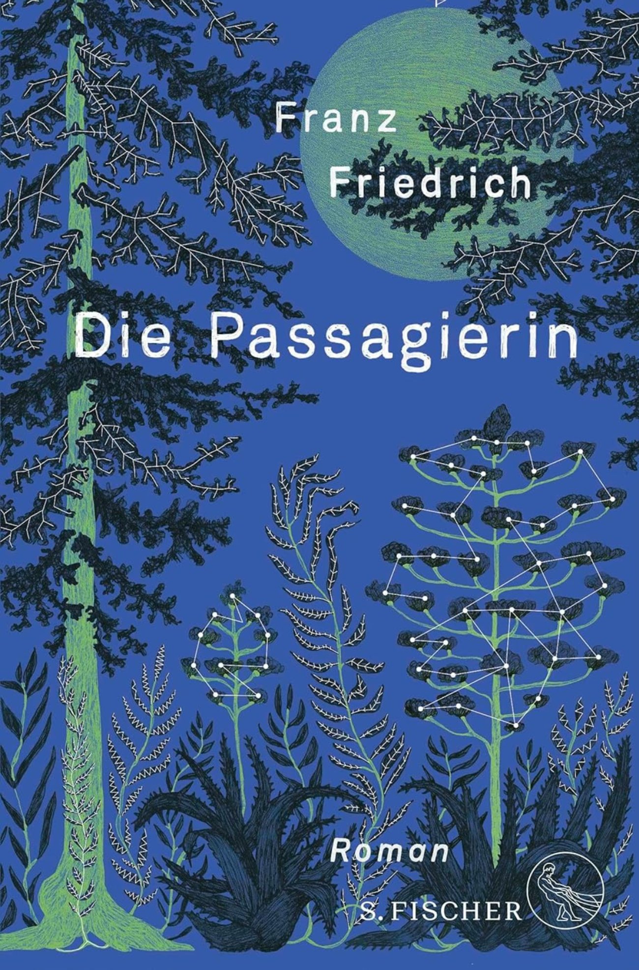 Die Passagierin: Roman